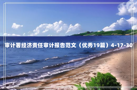 审计署经济责任审计报告范文（优秀19篇）4-17-30