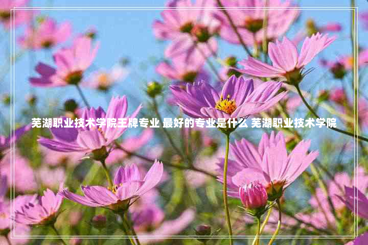 芜湖职业技术学院王牌专业 最好的专业是什么 芜湖职业技术学院