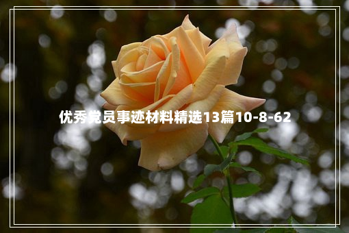 优秀党员事迹材料精选13篇10-8-62