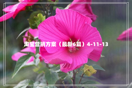 淘宝营销方案（最新6篇）4-11-13