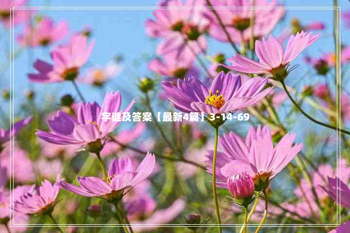 字谜及答案【最新4篇】3-14-69