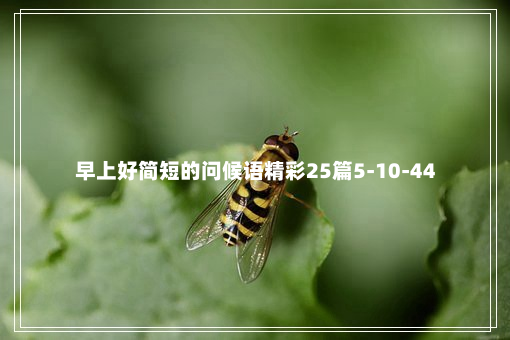 早上好简短的问候语精彩25篇5-10-44