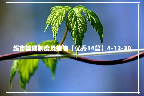 超市管理制度及措施【优秀14篇】4-12-30