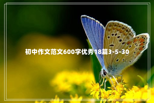 初中作文范文600字优秀18篇3-5-30