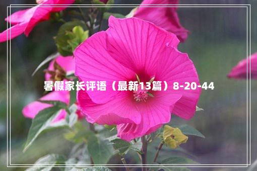 暑假家长评语（最新13篇）8-20-44