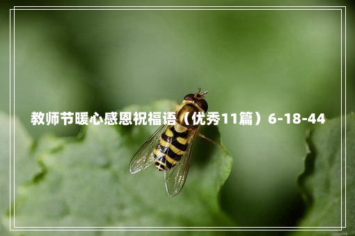 教师节暖心感恩祝福语（优秀11篇）6-18-44