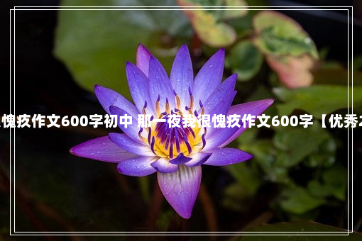 最新那一夜我很愧疚作文600字初中 那一夜我很愧疚作文600字【优秀21篇】9-15-56