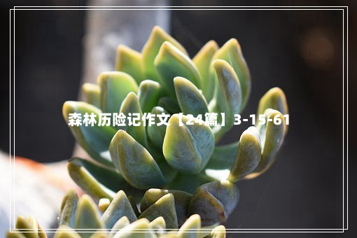 森林历险记作文【24篇】3-15-61