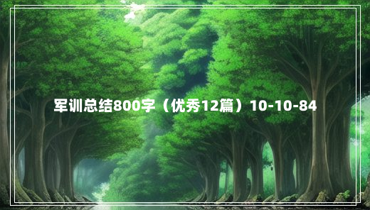 军训总结800字（优秀12篇）10-10-84