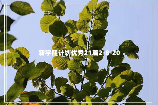 新学期计划优秀21篇2-8-20