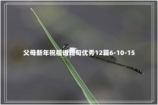 父母新年祝福语短句优秀12篇6-10-15