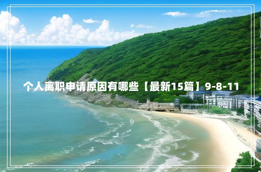 个人离职申请原因有哪些【最新15篇】9-8-11