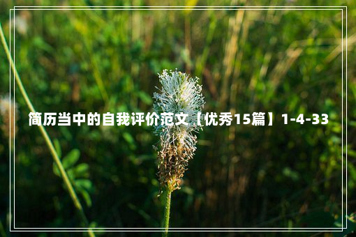 简历当中的自我评价范文【优秀15篇】1-4-33